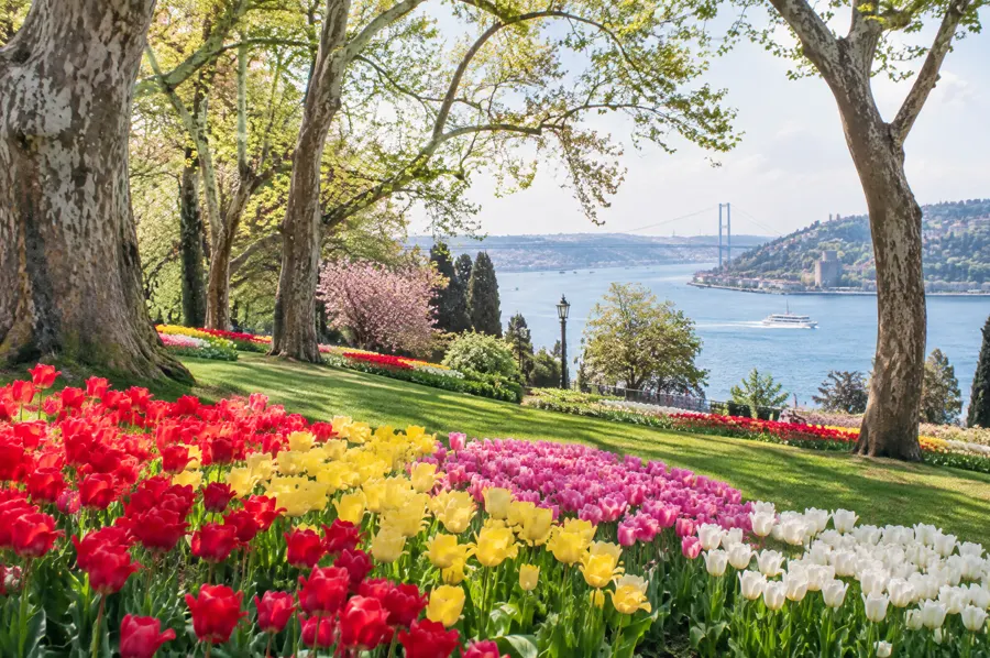 İstanbul'da lale zamanı