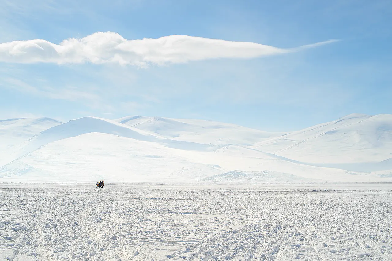 Ardahan