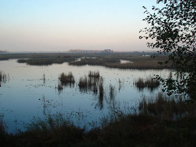 Düzce
