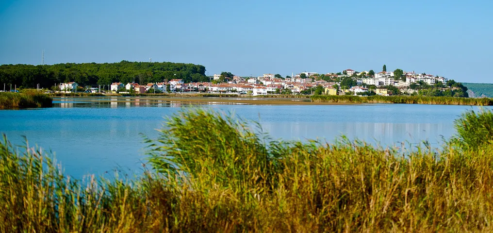 İğneada Longoz Ormanları